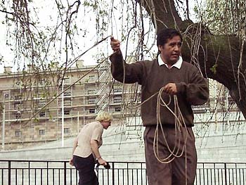 bolivian.jpg (45424 bytes)
