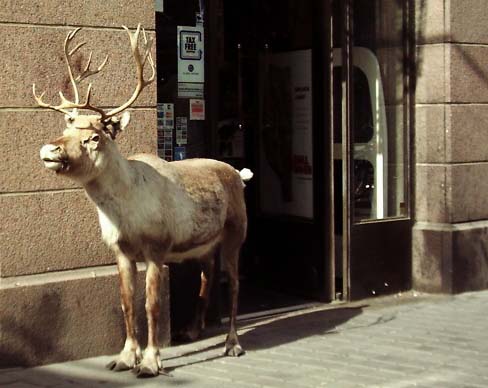 euren.jpg (36359 bytes)